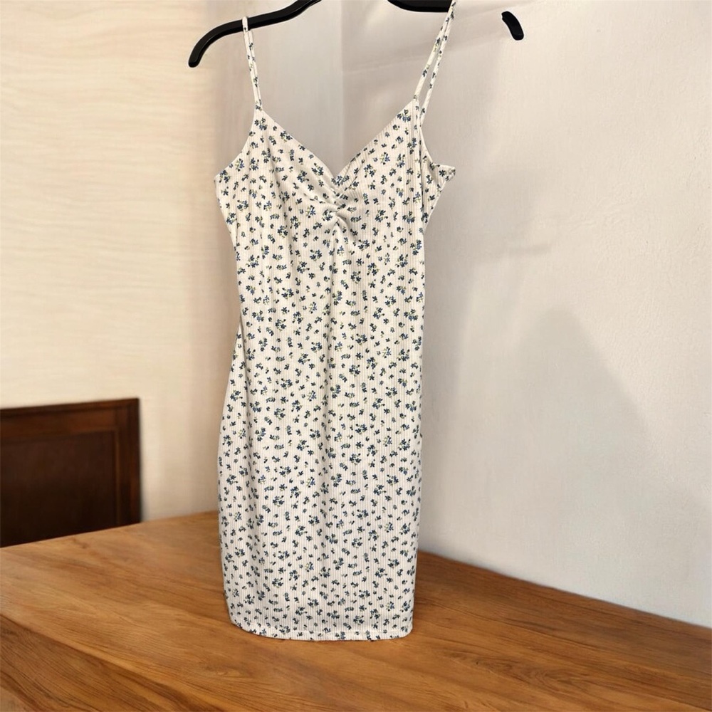 Windsor White and Blue Floral Mini Dress